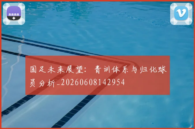 国足未来展望:青训体系与归化球员分析_20260608142954